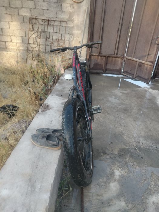 Velaseped narhi dagida