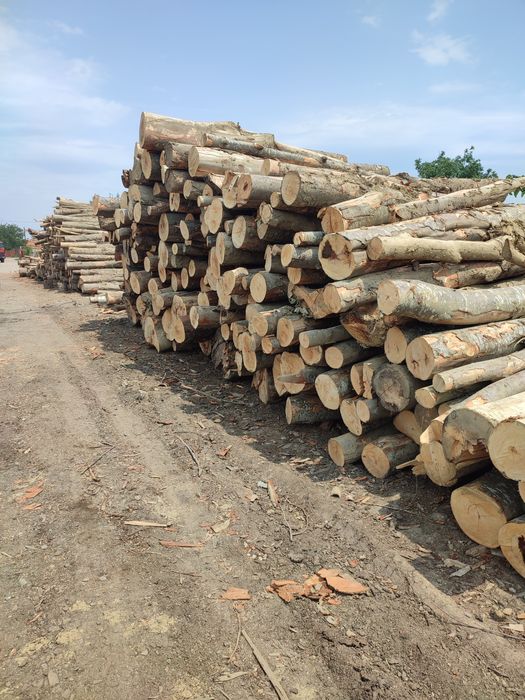 Depozit lemne de foc