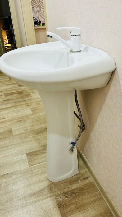 Раковина тюльпан