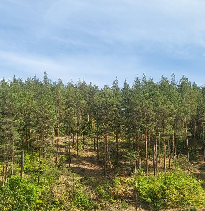 Парцел в регулация с. ОЧУША Софийска област