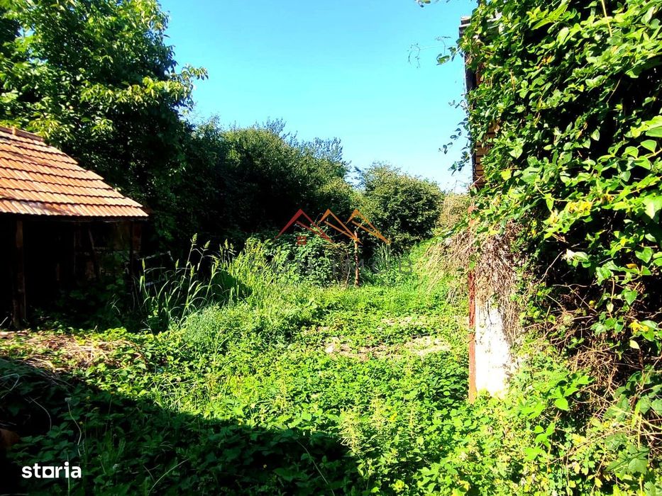 Casă De Vânzare | 1.486 Mp Teren | Urleta