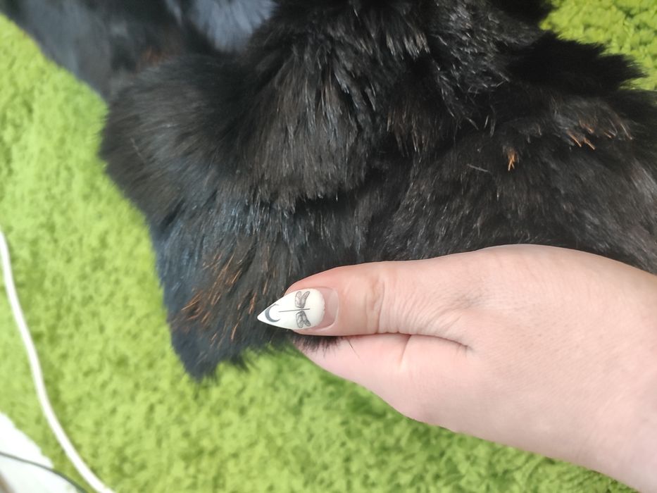 Шуба натуральная