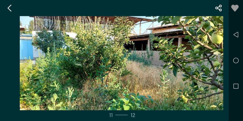 8 сотик участка сотилади 2 та 4 хона.