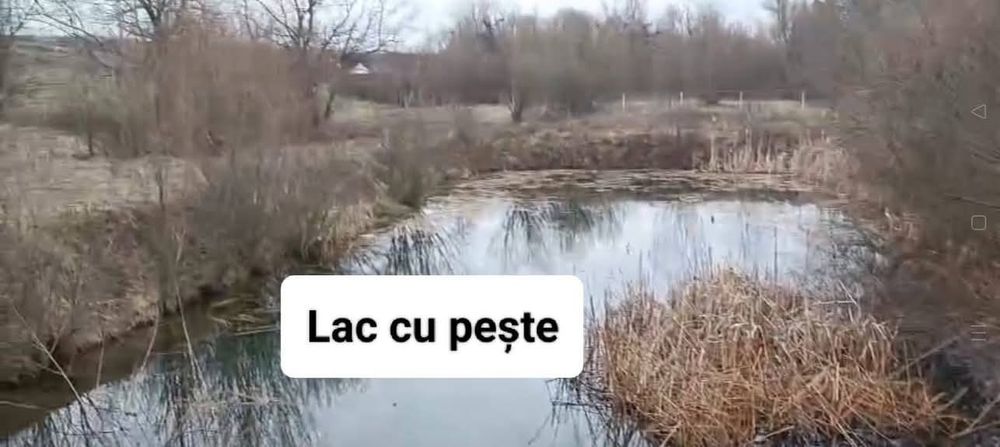 Teren intravilan, lac, heleșteu cu pește,râu 3600m2 intravilan
