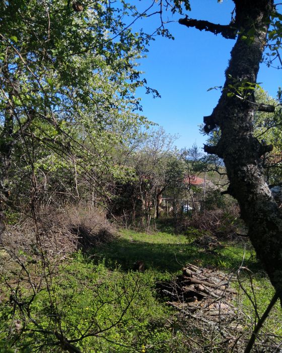 Продава се Парцел в с. Радловци, Област Кюстендил - 660 кв.м за 11 €/кв.м - Снимка #1