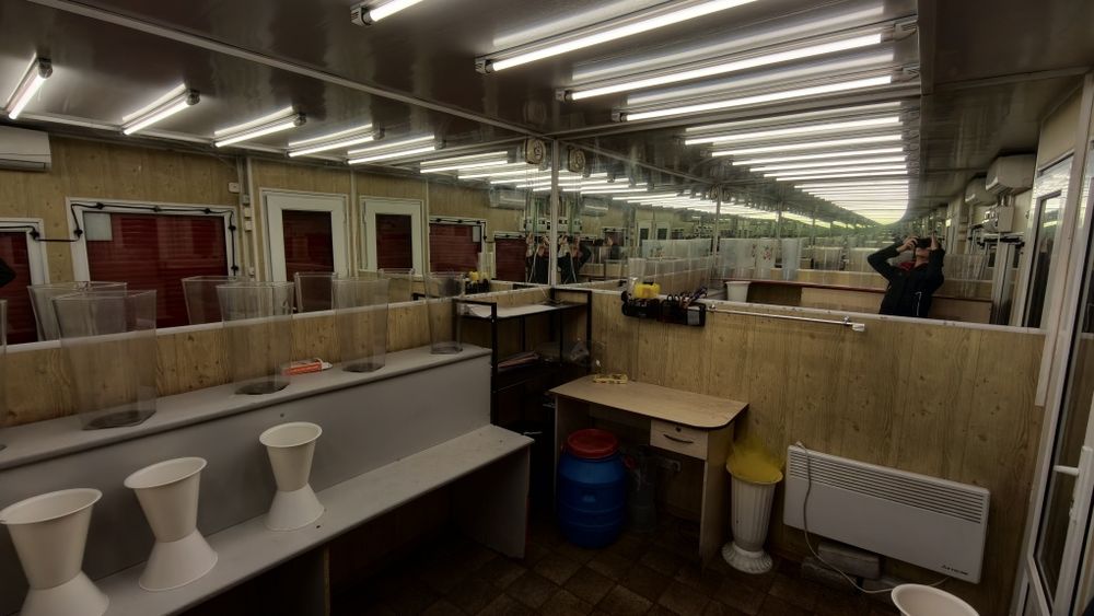 Торговый павильон (киоск)