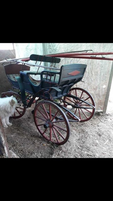 Vand trasura pt un cal