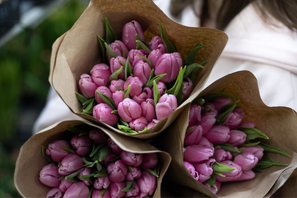 Голландские тюльпаны оптом и в розницу