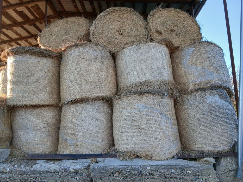 Vând baloți de lucernă coasa 3-4 uscată sau înfoliată