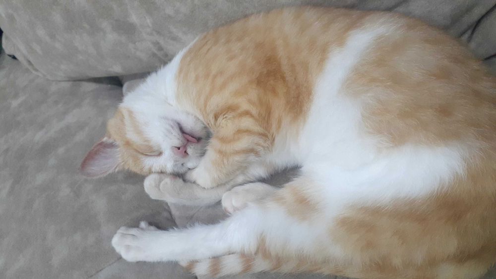 Срочно срочно продаётся квартира в новостройке