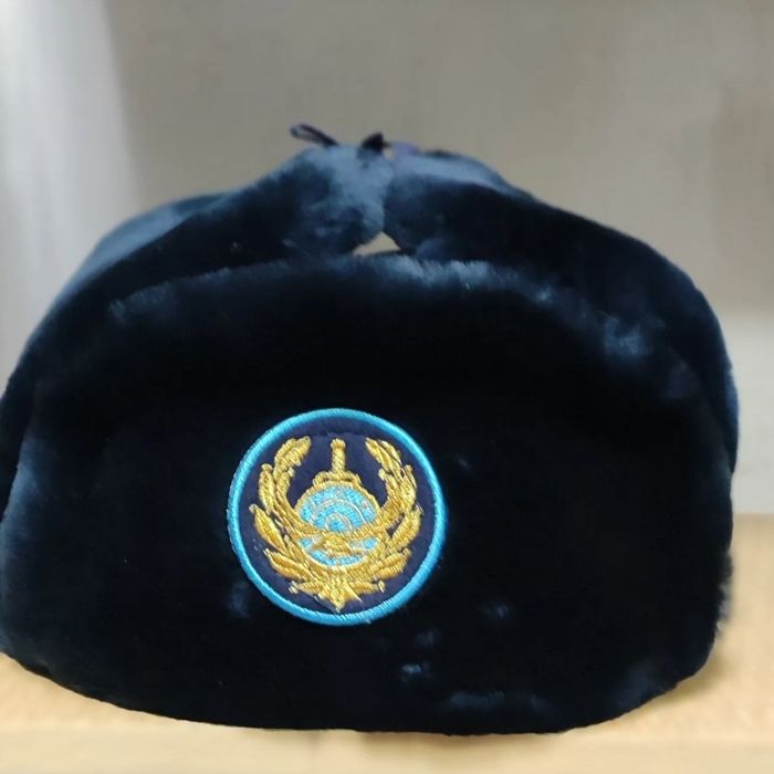 Бушлат темно-синий, шапка МВД