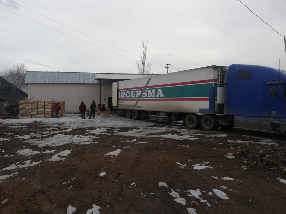 Аренда холодильника для яблок