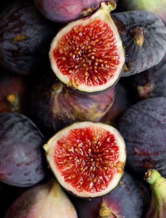 Pomi fructiferi pentru primavara 2026