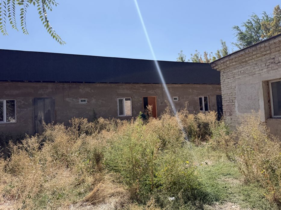 Сдам в аренду дом с участком