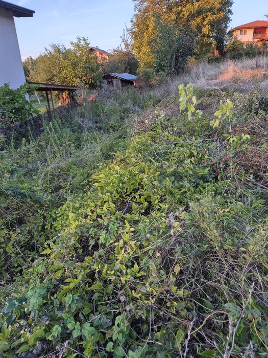 Продава се Парцел в с. Бистрица, Област Кюстендил - 1080 кв.м за 79 €/кв.м - Снимка #1