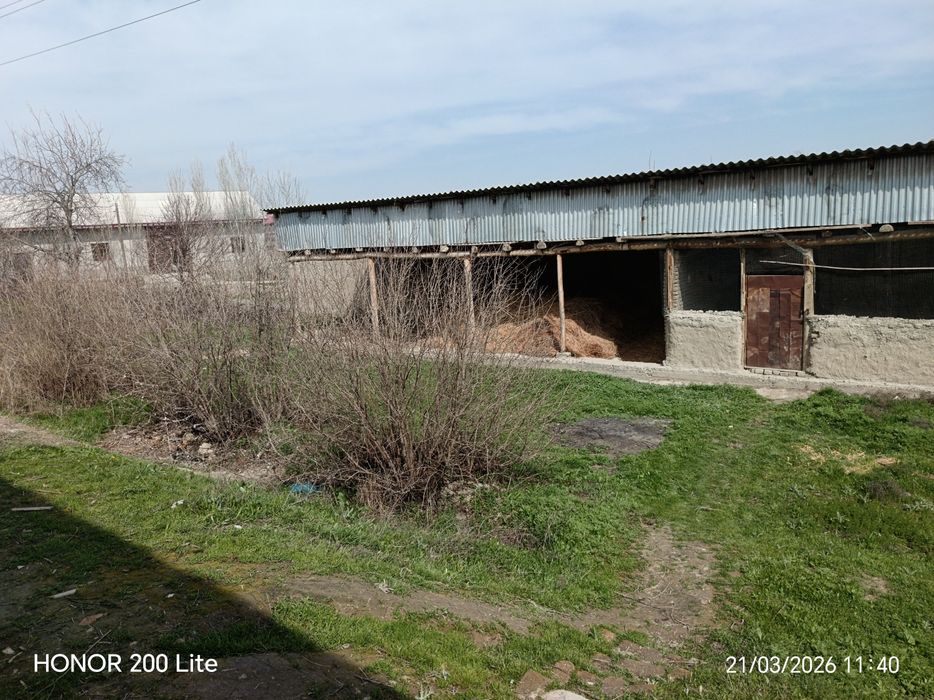 Ховли сотилади 26 сотих