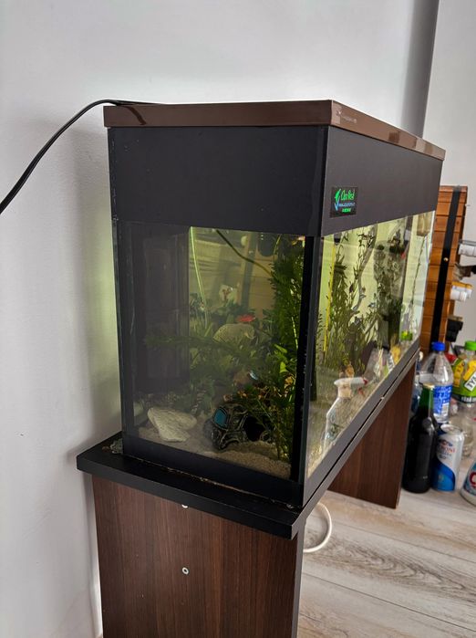 Vand acvariu facut pe comanda 60-70L, COMPLET