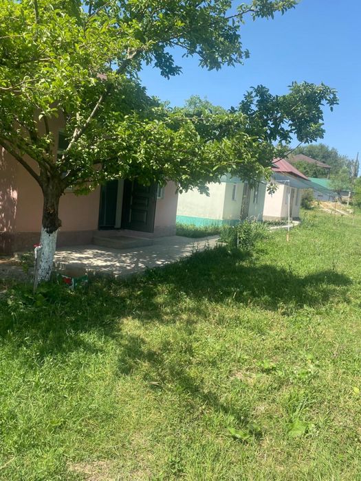 Саумалхана Ленгер,Бургулюк