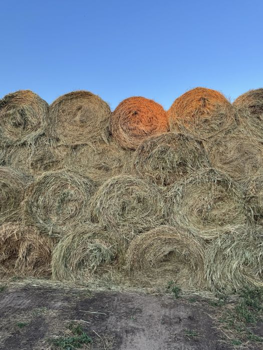 Продается СЕНО в тюках!!!