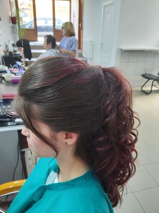 Salon Terezian Simion Barnutiu