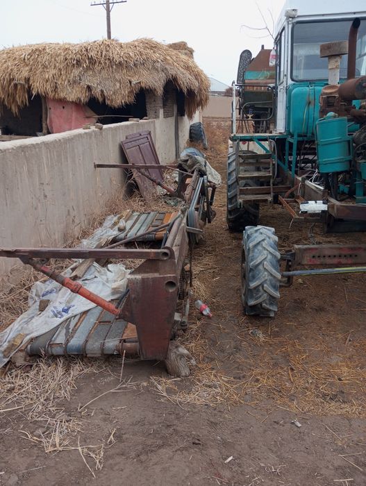 Зур холатдаги катта жатка