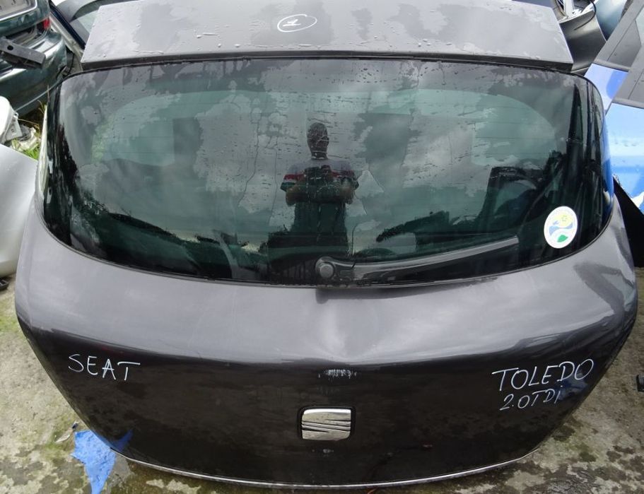 Haion Seat Toledo din 2004  complet