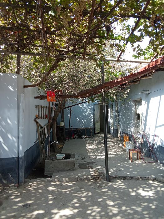 Ховли сотилади Самарканд шахрида.