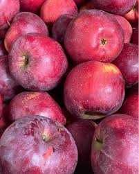 Vand mere de anul acesta, soiuri diverse calitate Golden Bot de iepure