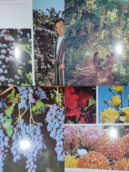 Книга "Сады Узбекистана".