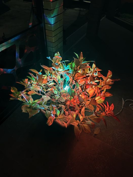 Proiector RGB IP66 ,10W,