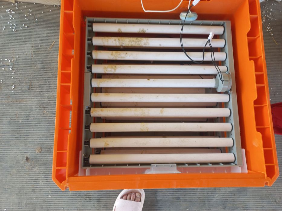 Инкубатор автоват