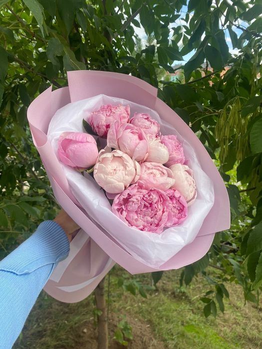 Пионы Алматы цветы букеты