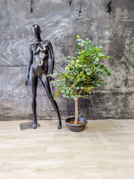 Изкуствени растения