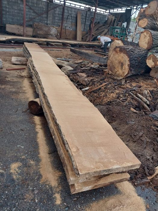 Сухой карагач .дуб орех