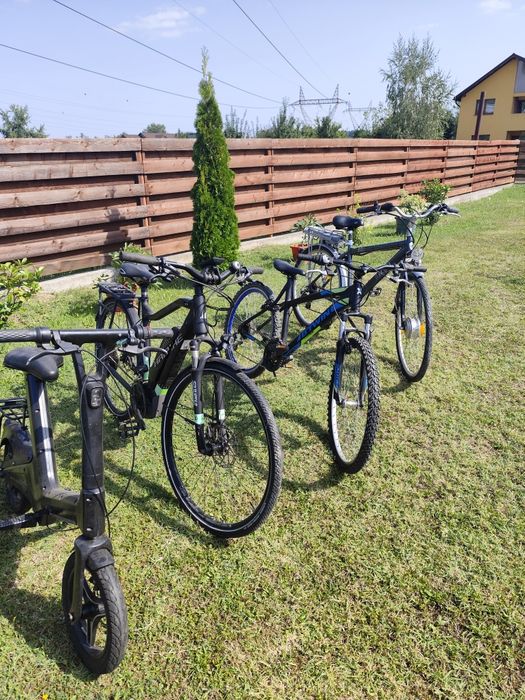 Biciclete electrice