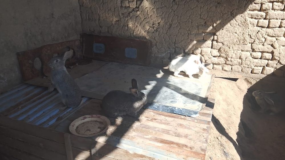 Сатам обмен бар .