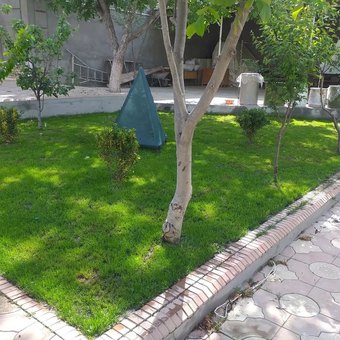 Gazon ekamiz lanshaft qilamiz