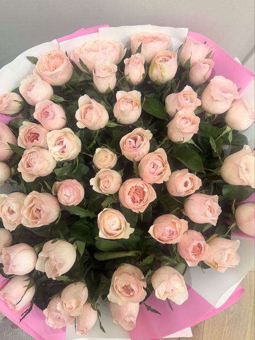51 роза букет из 51 розы