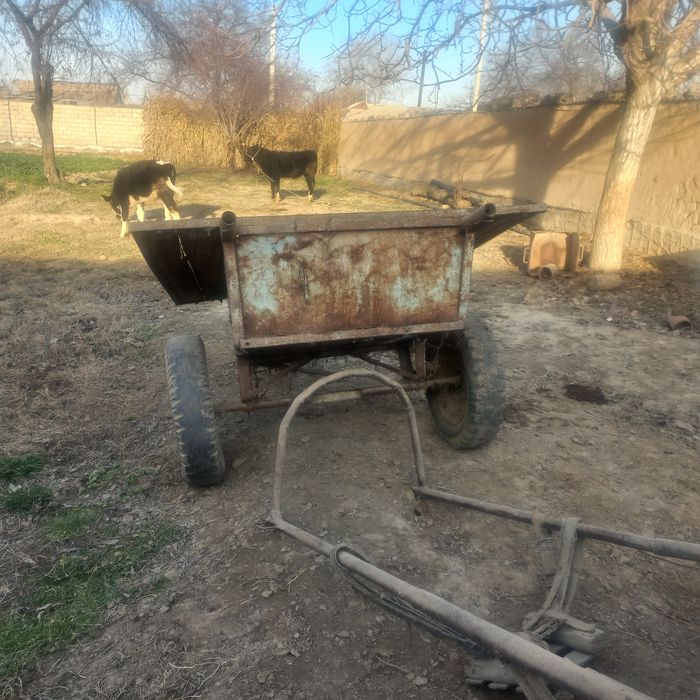 Ot arava sotuladi yaxshi holatda