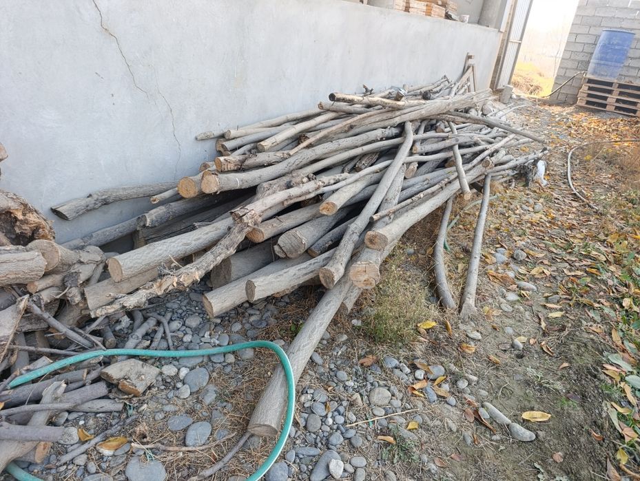 Утин сотилади хаммаси Бир ЗИЛ булади