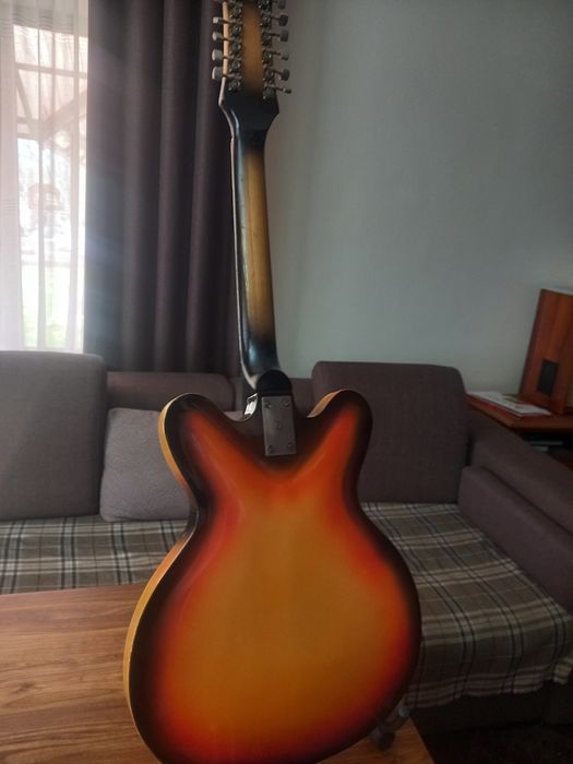 Ленинградские арктопы