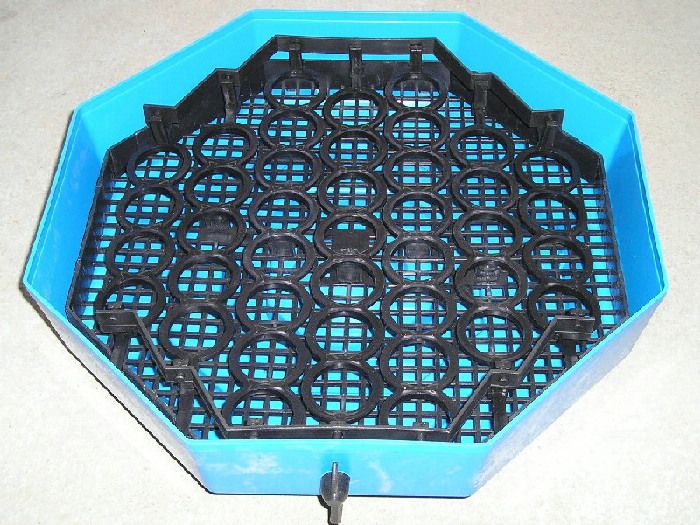 Официален вносител на Румънските инкубатори Cleo5