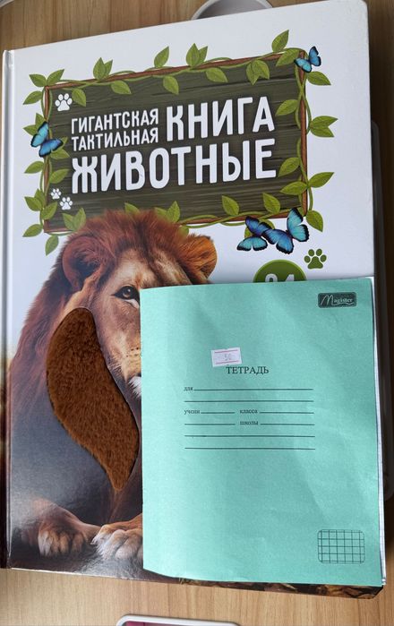 Гигантская тактильная книга