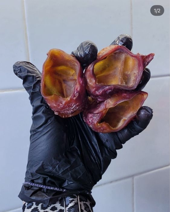 Лакомства для собак