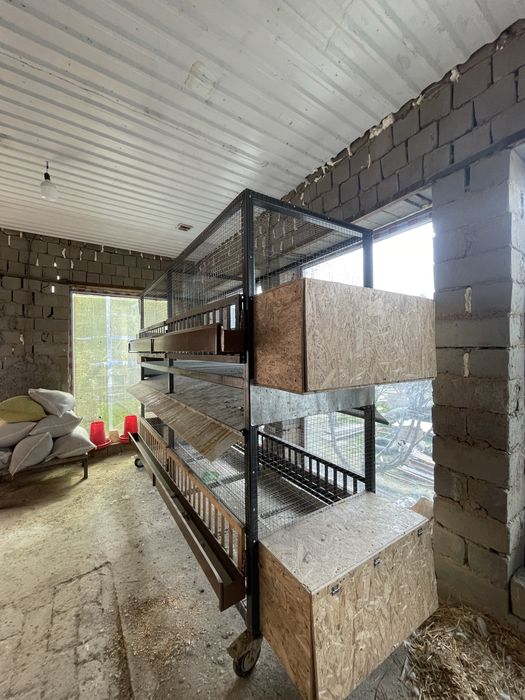 Курятник двух ярустный