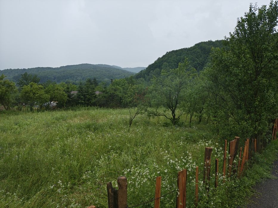 Teren de vânzare în adunați