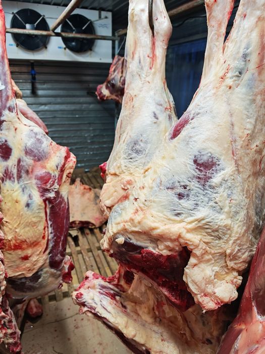 Мясо говядины говяжи