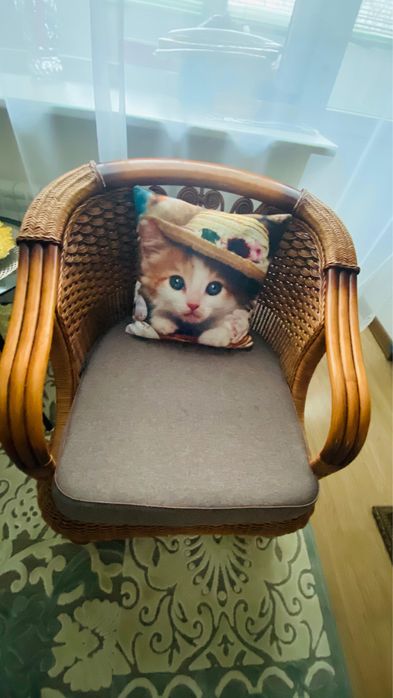 Продам ротангу в хорошем состоянии