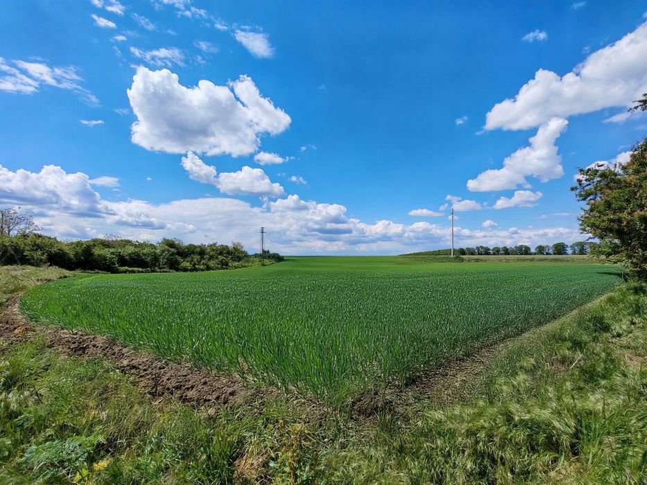 Панорамен парцел в регулация с. Пчеларово ,  област Добрич