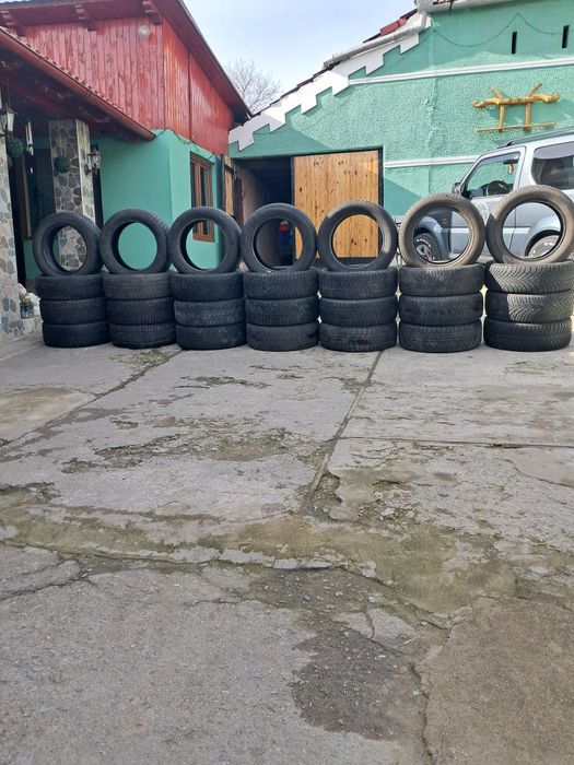 Vând porumbei ce se vede R16